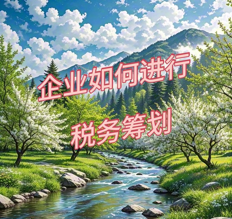 一般纳税人申请